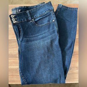 Torrid Premier Skinny Jean
